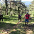 Rodil y Peñalisa (208)